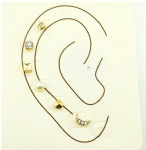 earring